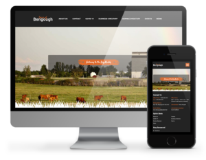 Town of Bengough website by Omnionline